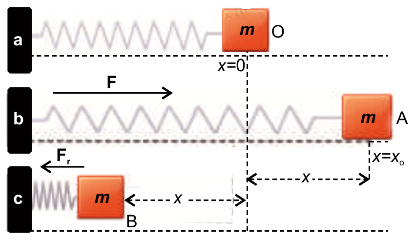 Mass attached with spring performing S.H.M