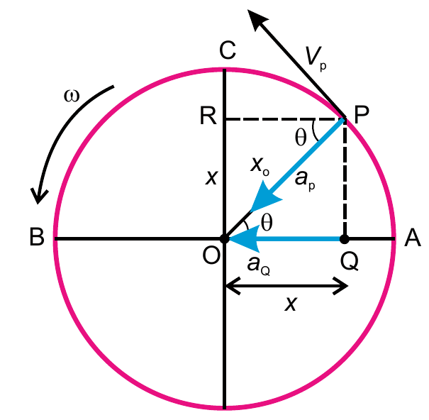 Acceleration of the point P and its horizontal component