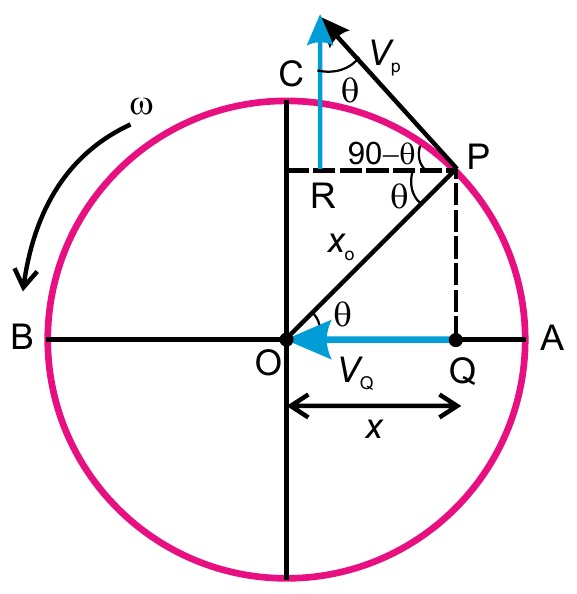 Velocity of the point P and its horizontal component