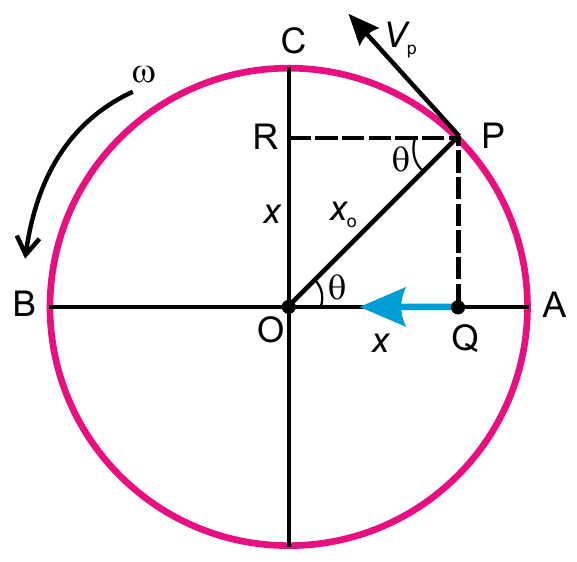 A point P moving on circular path with constant angular velocity
