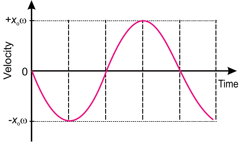 Velocity of an oscillation performing S.H.M